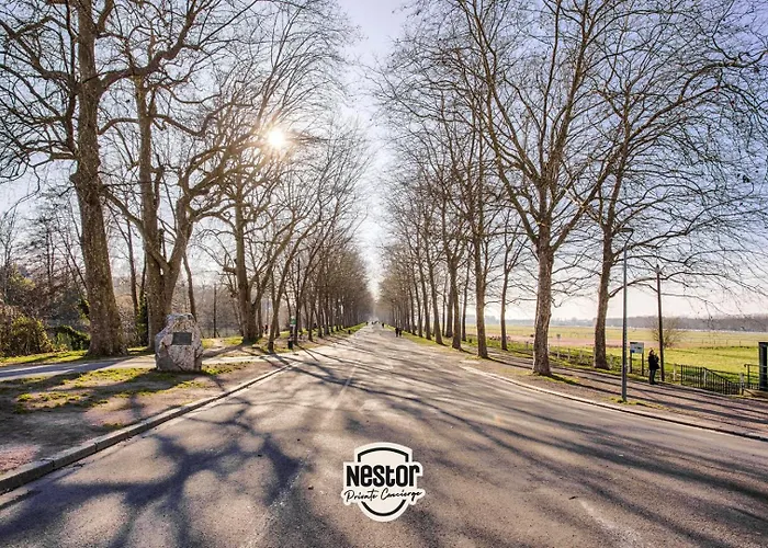 Casa Naranja — Bulle De Repit Tendance * 캉